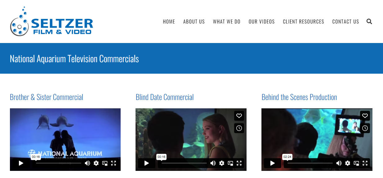 WordPress视频库:如何创建一个好的视频库 3 seltzer