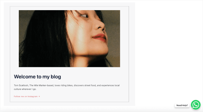 8个最佳WhatsApp WordPress插件(我全部测试了一遍) 26 simplechatbutton live