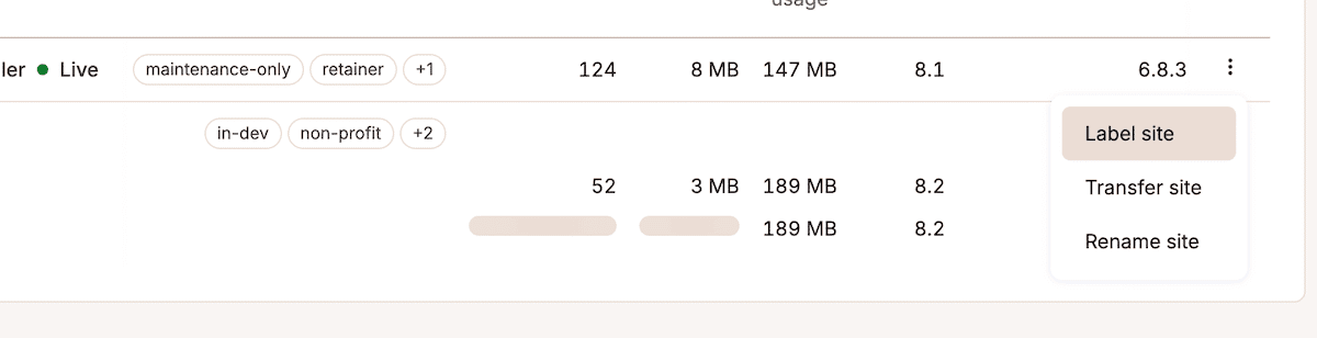 使用 Kinsta 多环境设置实现敏捷交付 11 site labels