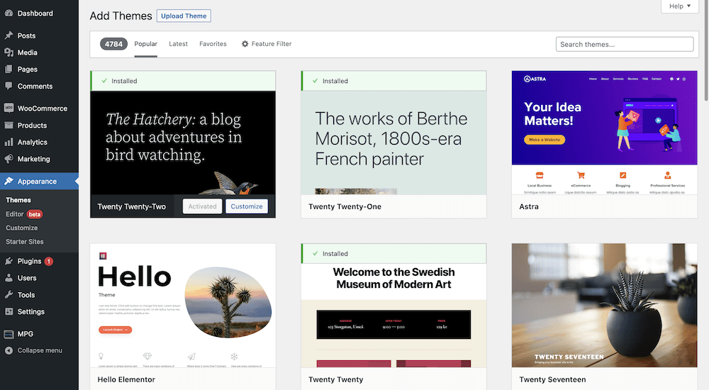 如何安装 WordPress 主题:新手入门指南 6 theme directory dashboard
