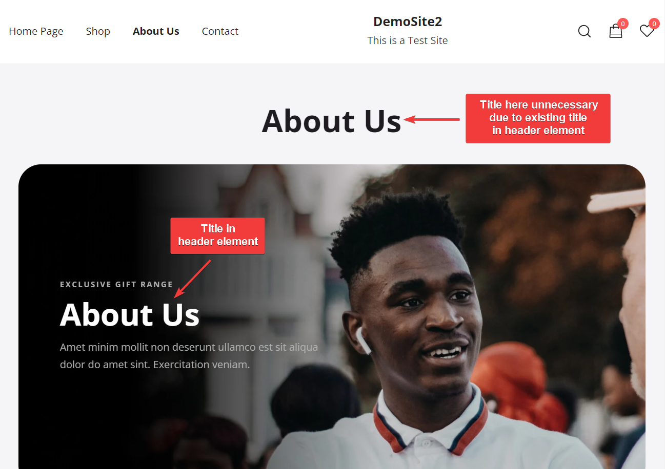 如何隐藏 WordPress 页面标题:4 种简单方法 3 two titles in same page