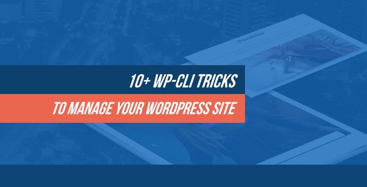 10+ WP-CLI 技巧管理您的 WordPress 网站 1 wp cli 1