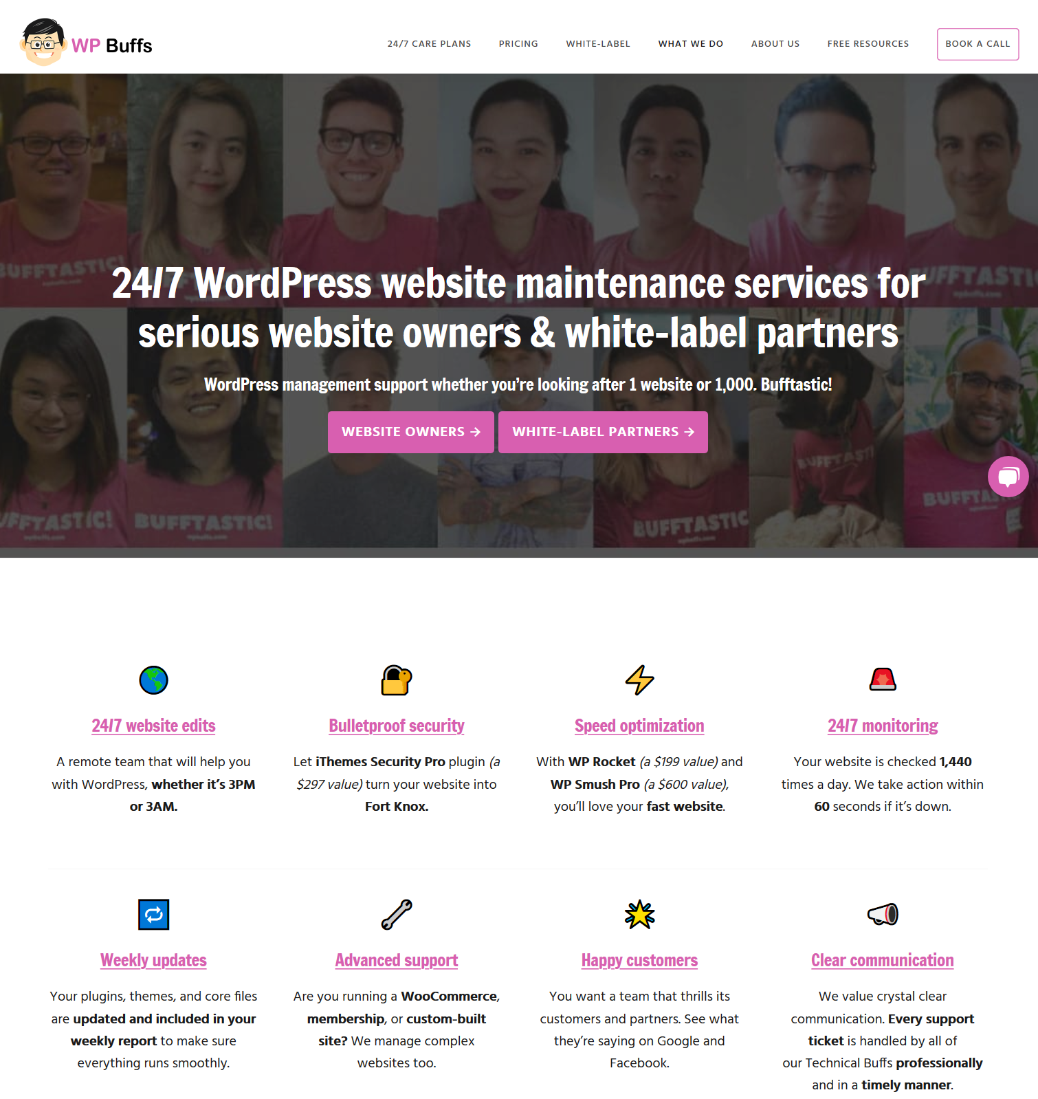 SOS!在哪里找到最好的WordPress帮助 6 wpbuffs landing page