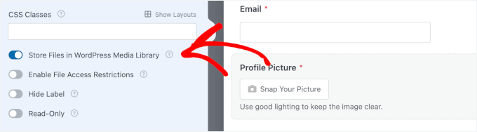 wpforms fields camerafield advanced storage